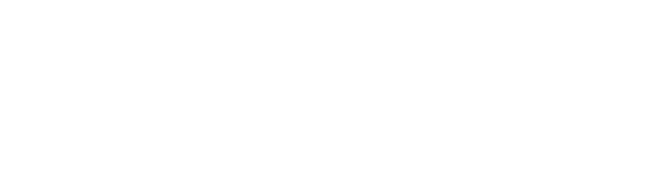 HOME – WS Technologies Pte Ltd | Software and Applications Development